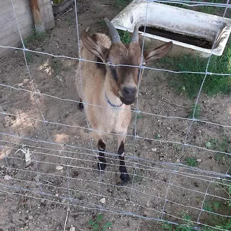 Дом отдыха Gabantelye Saint-Paulet-de-Caisson